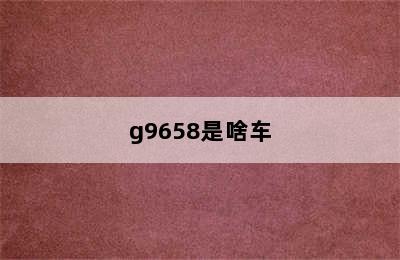 g9658是啥车