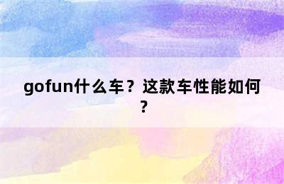 gofun什么车？这款车性能如何？