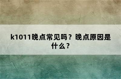 k1011晚点常见吗？晚点原因是什么？