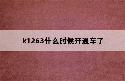 k1263什么时候开通车了