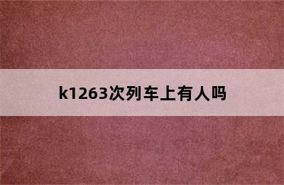 k1263次列车上有人吗