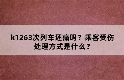 k1263次列车还痛吗？乘客受伤处理方式是什么？