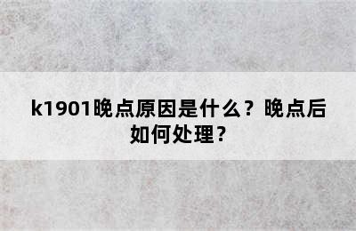 k1901晚点原因是什么？晚点后如何处理？