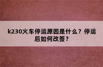 k230火车停运原因是什么？停运后如何改签？