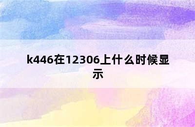 k446在12306上什么时候显示