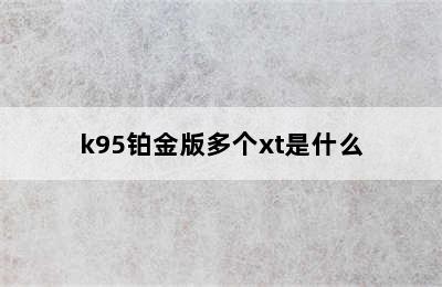 k95铂金版多个xt是什么