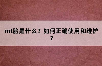 mt胎是什么？如何正确使用和维护？