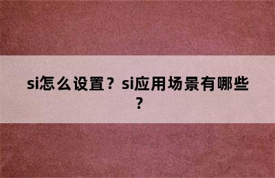 si怎么设置？si应用场景有哪些？