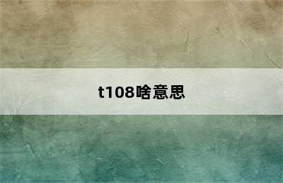 t108啥意思