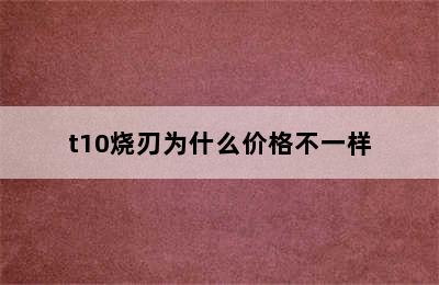 t10烧刃为什么价格不一样