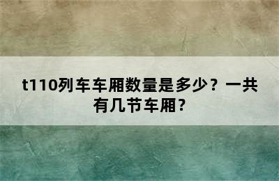 t110列车车厢数量是多少？一共有几节车厢？