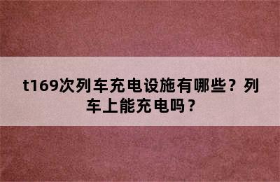 t169次列车充电设施有哪些？列车上能充电吗？