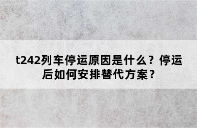 t242列车停运原因是什么？停运后如何安排替代方案？