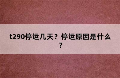 t290停运几天？停运原因是什么？