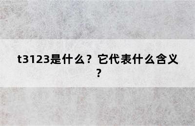 t3123是什么？它代表什么含义？