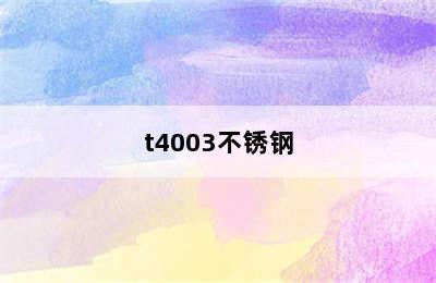 t4003不锈钢