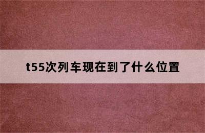 t55次列车现在到了什么位置