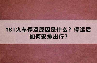 t81火车停运原因是什么？停运后如何安排出行？