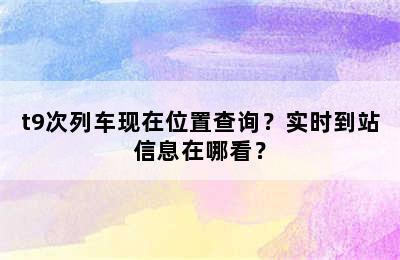 t9次列车现在位置查询？实时到站信息在哪看？