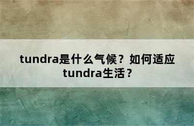 tundra是什么气候？如何适应tundra生活？