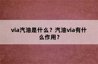 via汽油是什么？汽油via有什么作用？