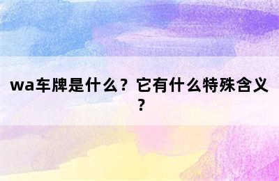 wa车牌是什么？它有什么特殊含义？