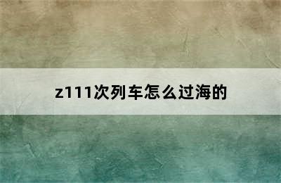 z111次列车怎么过海的