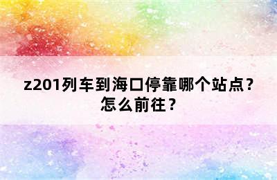 z201列车到海口停靠哪个站点？怎么前往？