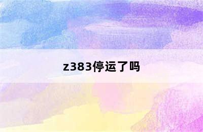 z383停运了吗