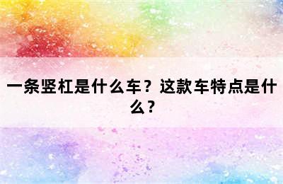 一条竖杠是什么车？这款车特点是什么？