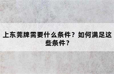 上东莞牌需要什么条件？如何满足这些条件？