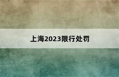 上海2023限行处罚