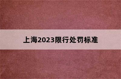 上海2023限行处罚标准