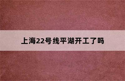 上海22号线平湖开工了吗