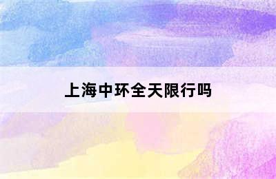 上海中环全天限行吗