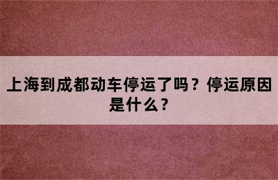 上海到成都动车停运了吗？停运原因是什么？