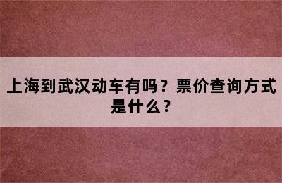 上海到武汉动车有吗？票价查询方式是什么？