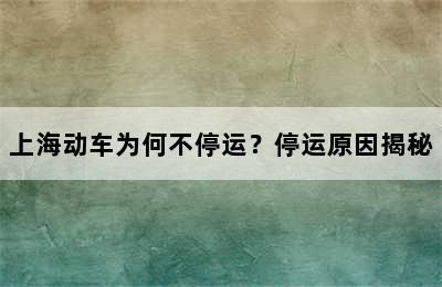 上海动车为何不停运？停运原因揭秘