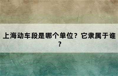 上海动车段是哪个单位？它隶属于谁？