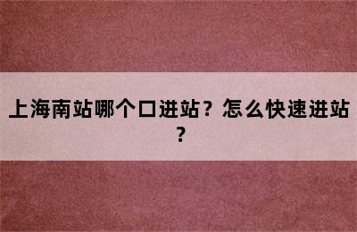 上海南站哪个口进站？怎么快速进站？