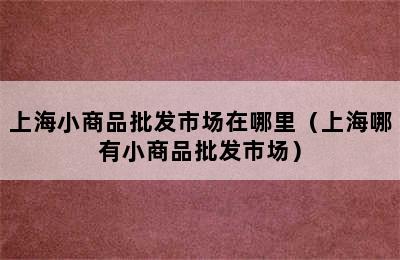 上海小商品批发市场在哪里（上海哪有小商品批发市场）