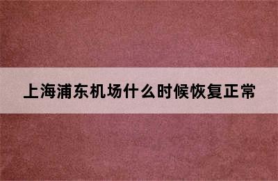 上海浦东机场什么时候恢复正常