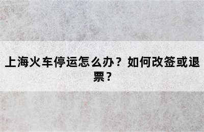 上海火车停运怎么办？如何改签或退票？