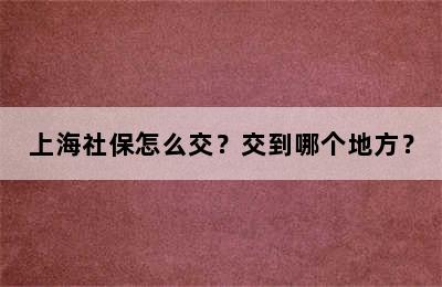 上海社保怎么交？交到哪个地方？