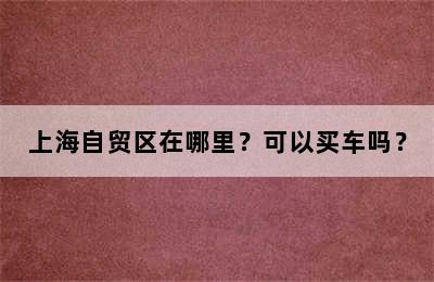 上海自贸区在哪里？可以买车吗？