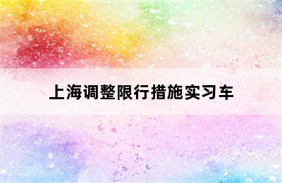 上海调整限行措施实习车