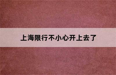 上海限行不小心开上去了