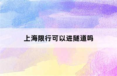 上海限行可以进隧道吗