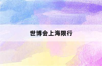 世博会上海限行