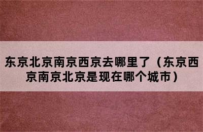 东京北京南京西京去哪里了（东京西京南京北京是现在哪个城市）